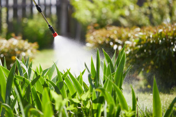 24/7 Emergency Mosquito Control experts in Tignall, GA